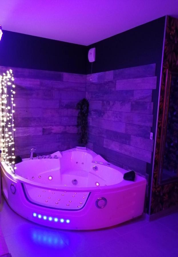 Romantisme Et Glamour 2 Avec Spa , Clim Et Jardin Діжон Екстер'єр фото