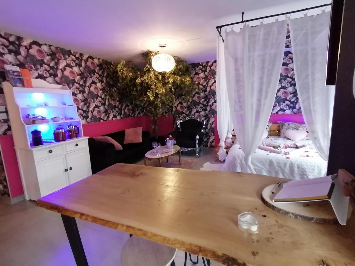 Romantisme Et Glamour 2 Avec Spa , Clim Et Jardin Діжон Екстер'єр фото