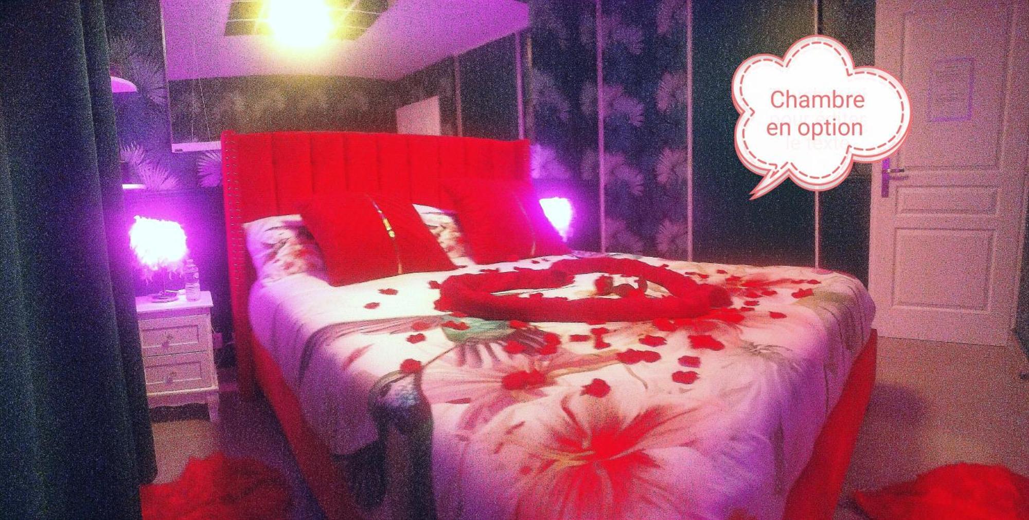 Romantisme Et Glamour 2 Avec Spa , Clim Et Jardin Діжон Екстер'єр фото