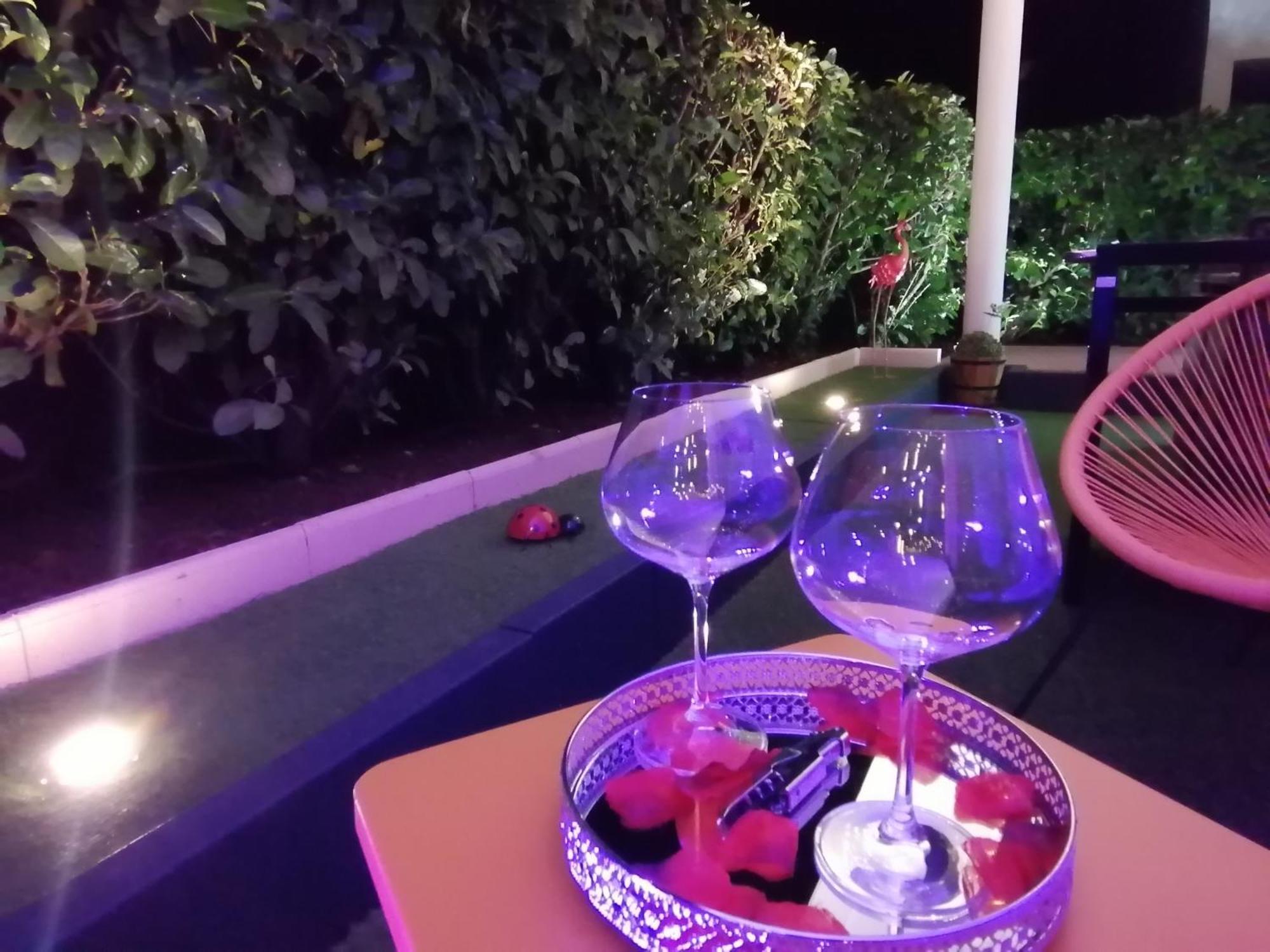 Romantisme Et Glamour 2 Avec Spa , Clim Et Jardin Діжон Номер фото